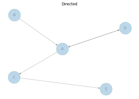 Directed or Undirected Network