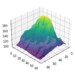 Surface Plot (3)