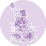 logo of a chart:Cartogram