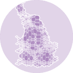 logo of a chart:Cartogram